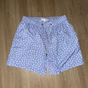 Men's Light Blue Printed Swim Trunks